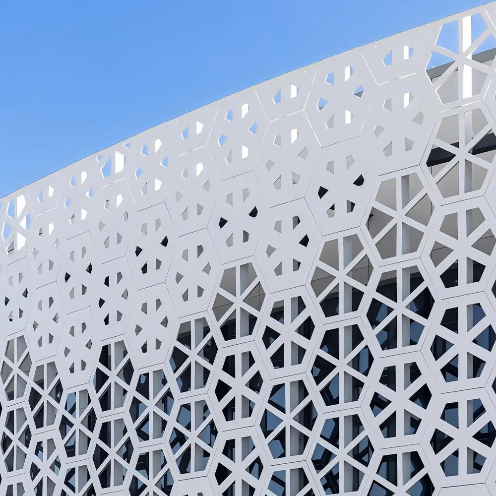 لوحة تكسية من الألومنيوم المنحوتة ذات التصميم الهندسي المجوف - ألومنيوم...